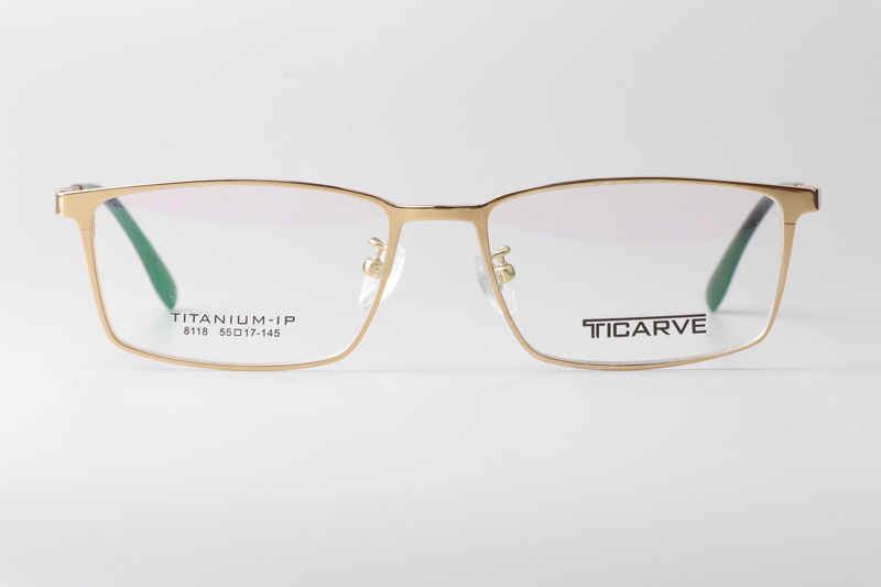 TC8118 Eyeglasses Gold