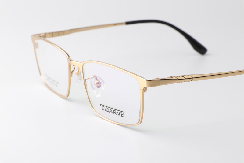 TC8118 Eyeglasses Gold
