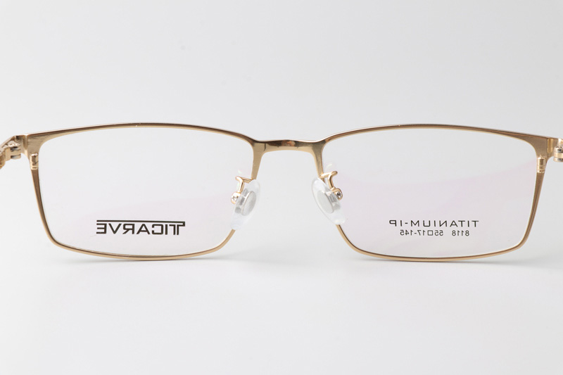 TC8118 Eyeglasses Gold