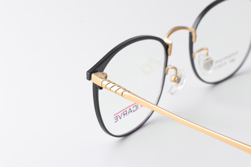 TC8201 Eyeglasses Black Gold