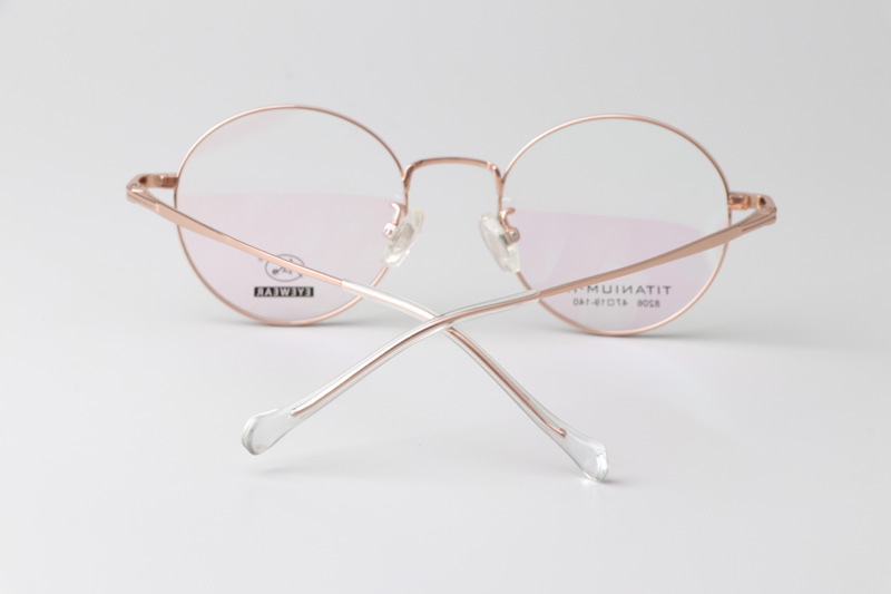 TC8206 Eyeglasses Rose Gold