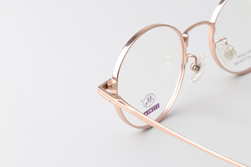 TC8206 Eyeglasses Rose Gold