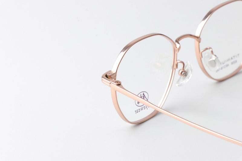 TC8208 Eyeglasses Rose Gold