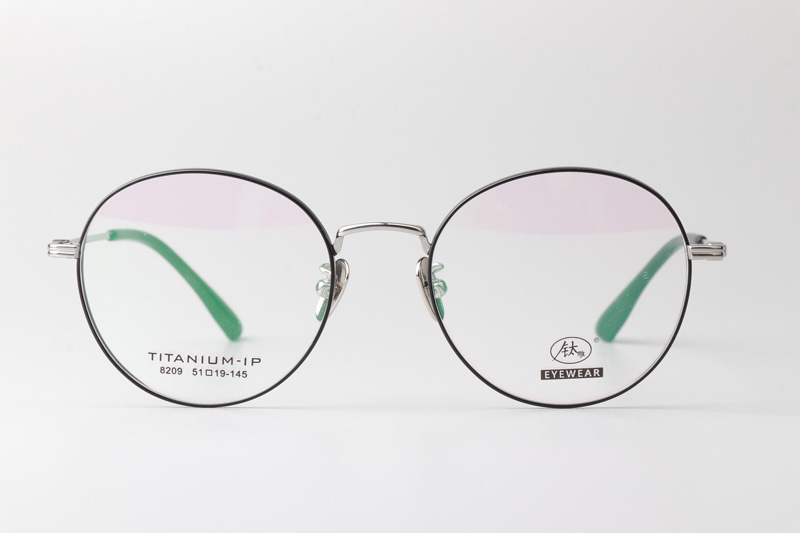 TC8209 Eyeglasses Black Silver