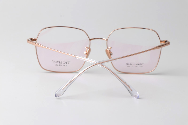 TC8211 Eyeglasses Gold