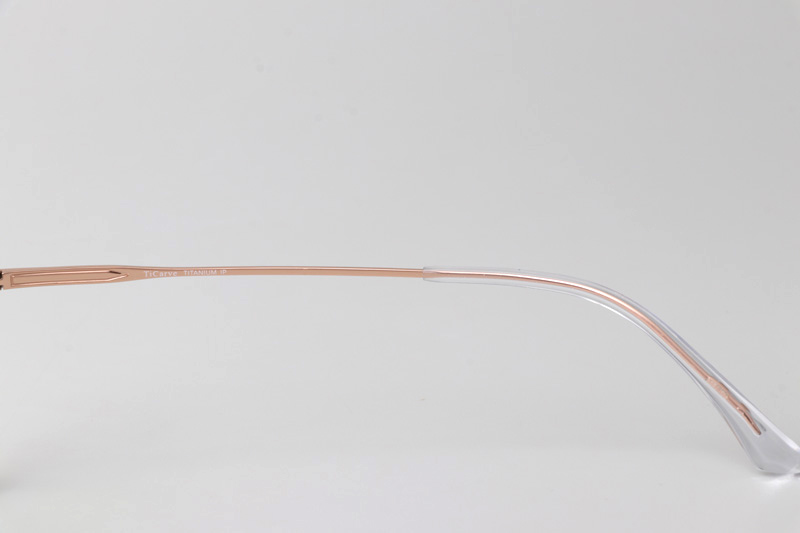 TC8211 Eyeglasses Gold