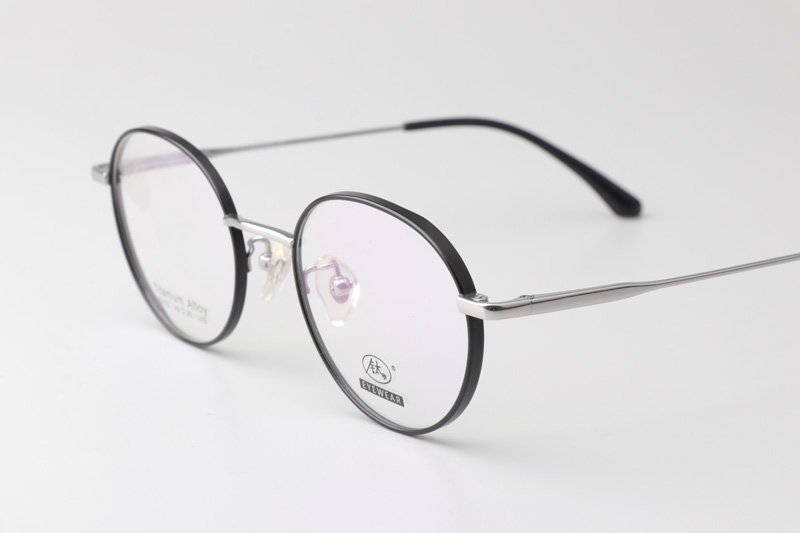 TC8212 Eyeglasses Black Silver