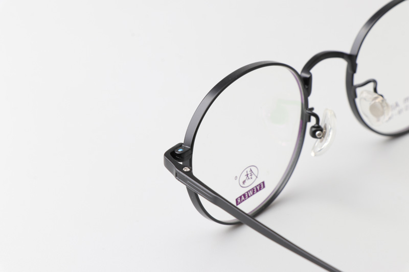 TC8213 Eyeglasses Black