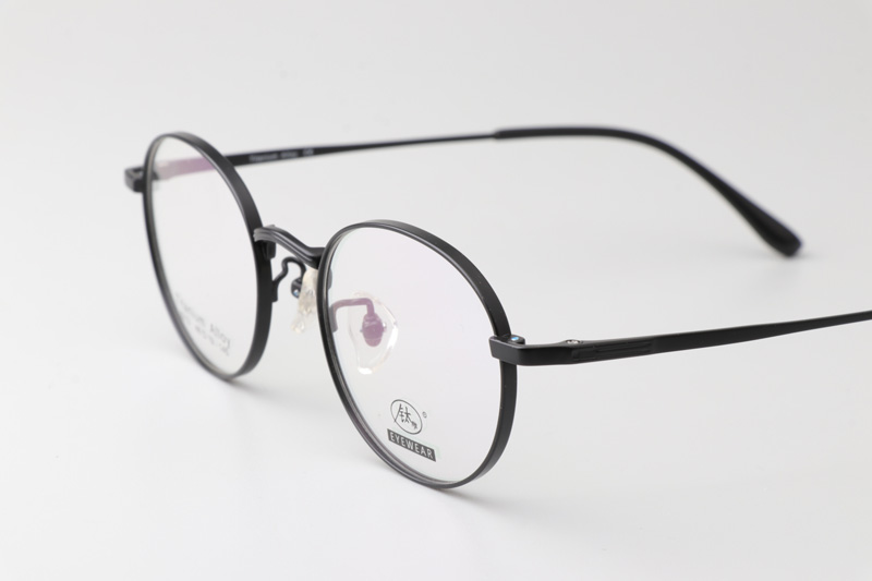 TC8213 Eyeglasses Black