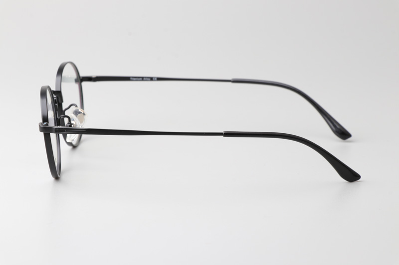 TC8213 Eyeglasses Black