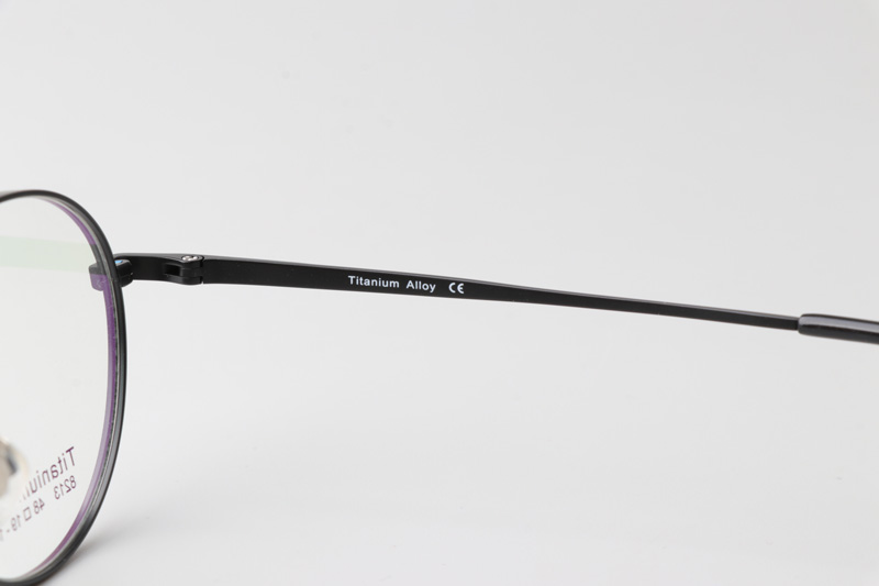 TC8213 Eyeglasses Black