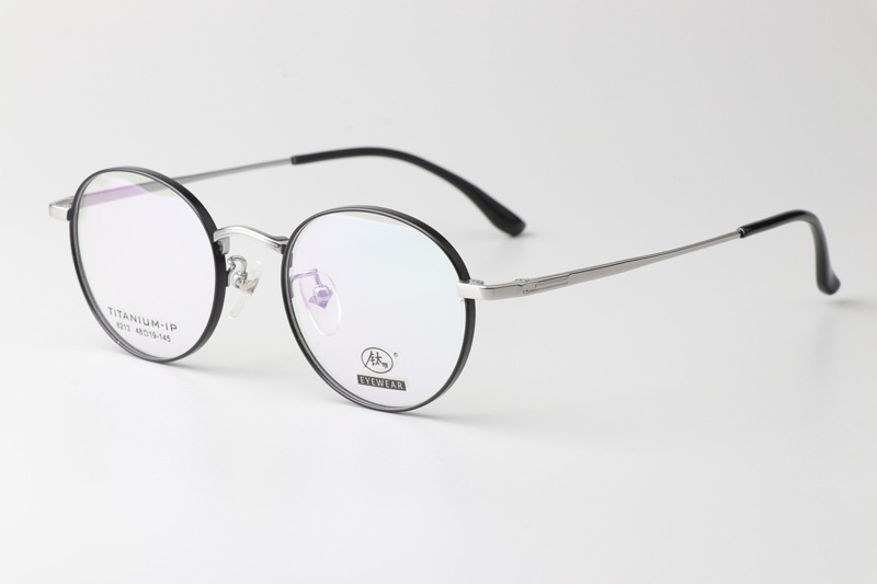 TC8213 Eyeglasses Black Silver