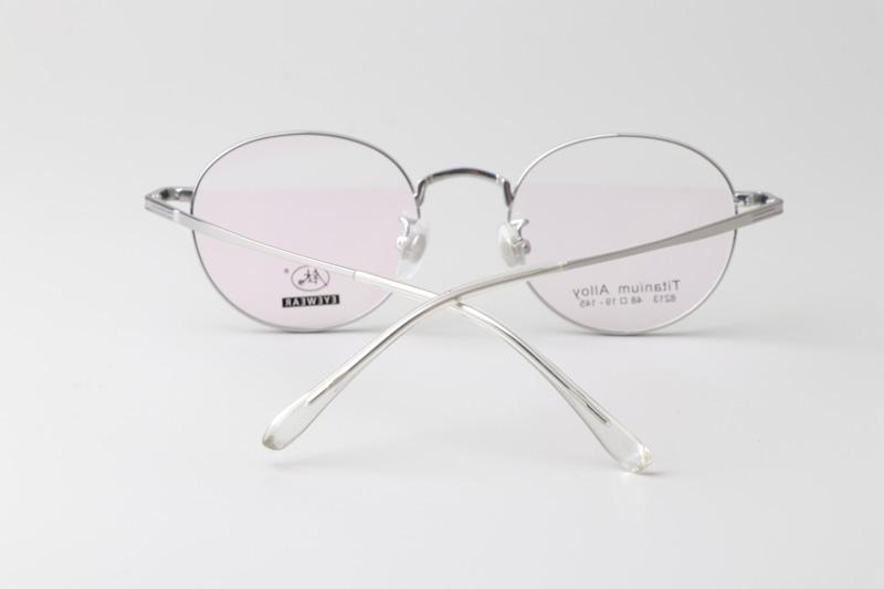 TC8213 Eyeglasses Silver
