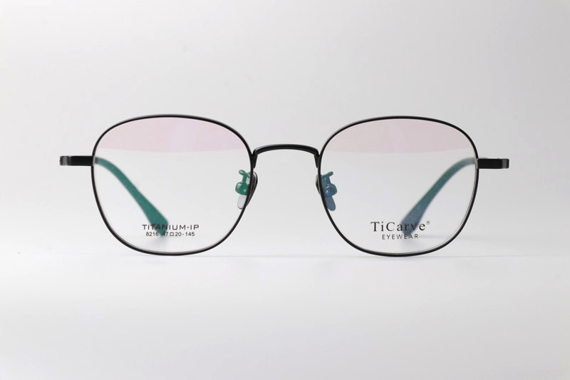TC8216 Eyeglasses Black