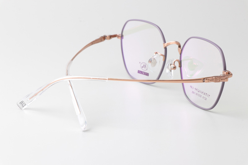 TC8219 Eyeglasses Purple Gold