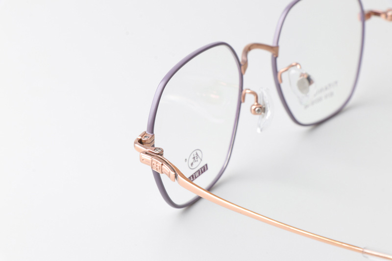 TC8219 Eyeglasses Purple Gold