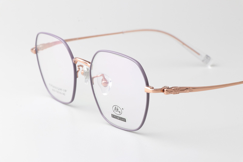 TC8219 Eyeglasses Purple Gold