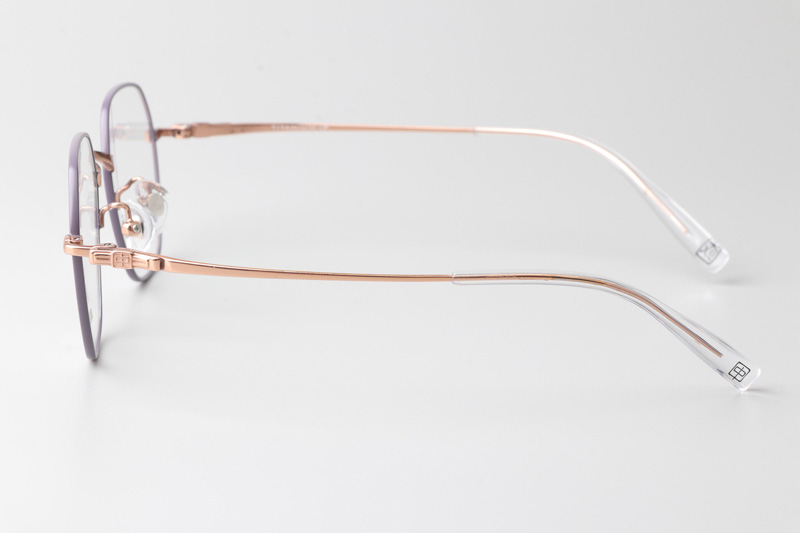 TC8219 Eyeglasses Purple Gold