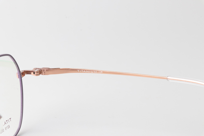 TC8219 Eyeglasses Purple Gold