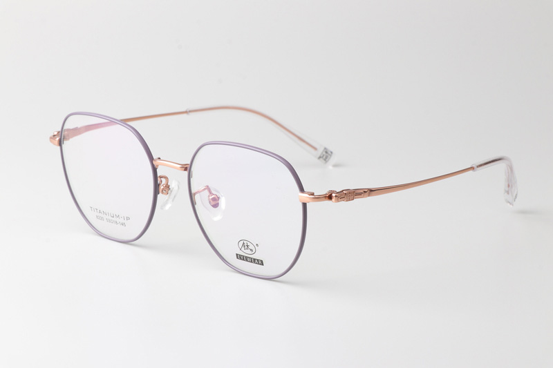 TC8220 Eyeglasses Purple Gold