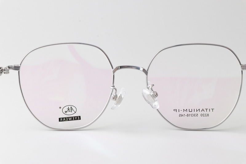TC8220 Eyeglasses Silver