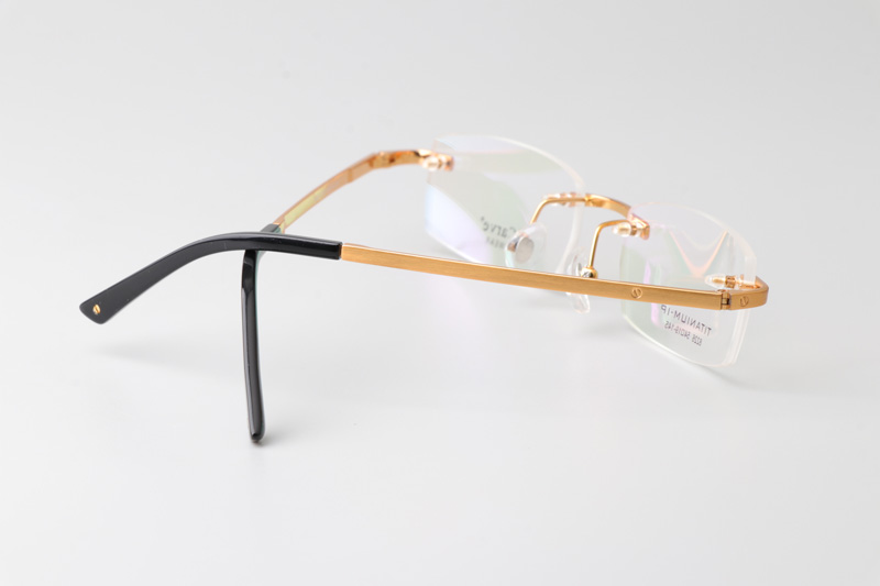 TC8226 Eyeglasses Gold