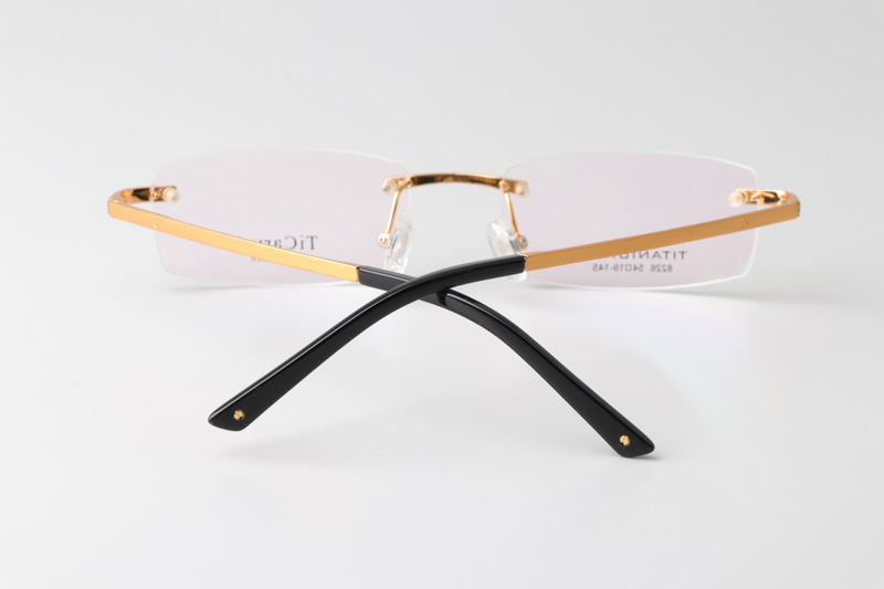 TC8226 Eyeglasses Gold