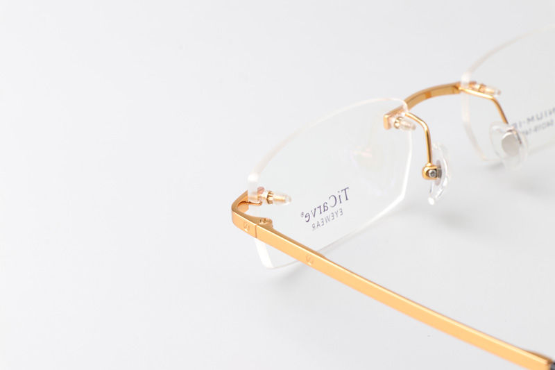 TC8226 Eyeglasses Gold