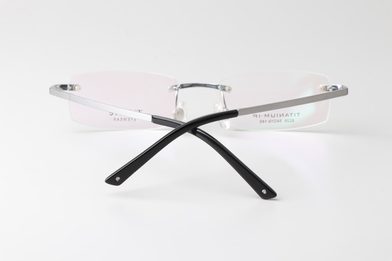 TC8226 Eyeglasses Silver