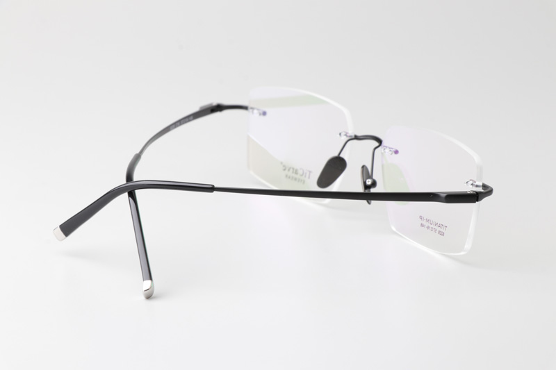 TC8228 Eyeglasses Black