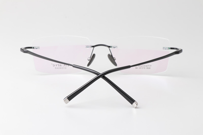 TC8228 Eyeglasses Black