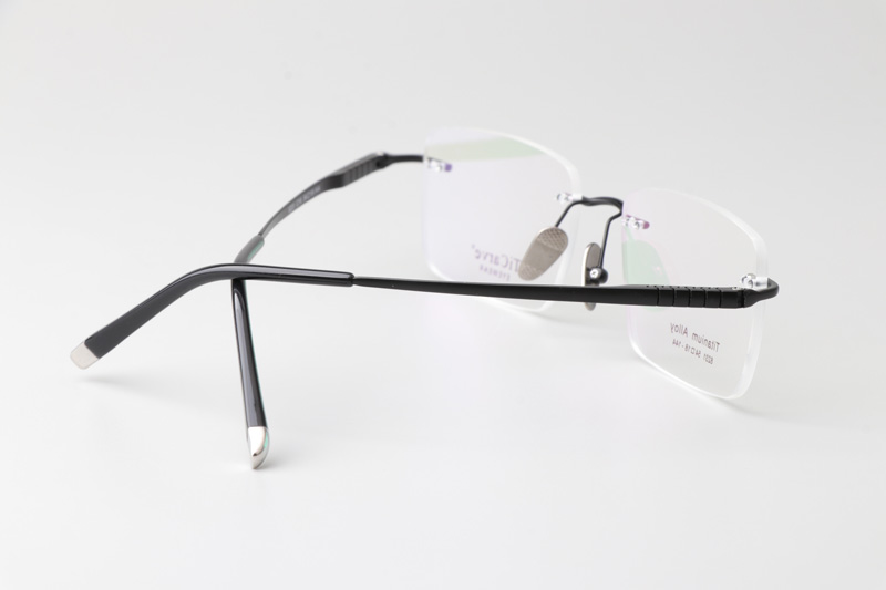 TC8231 Eyeglasses Black