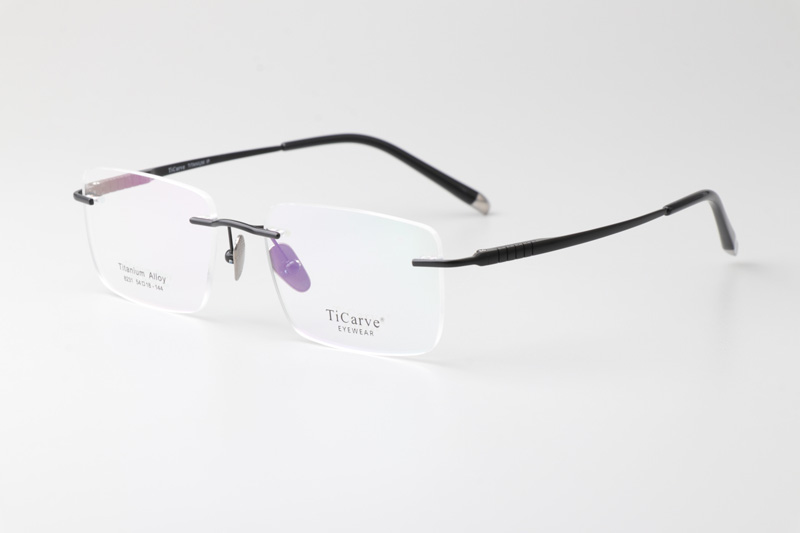 TC8231 Eyeglasses Black