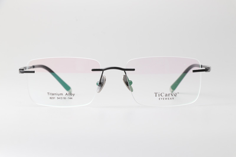 TC8231 Eyeglasses Black