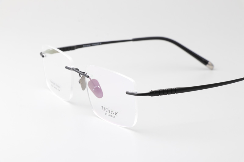 TC8231 Eyeglasses Black