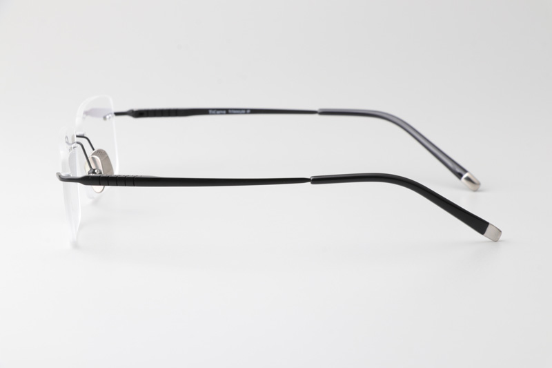 TC8231 Eyeglasses Black