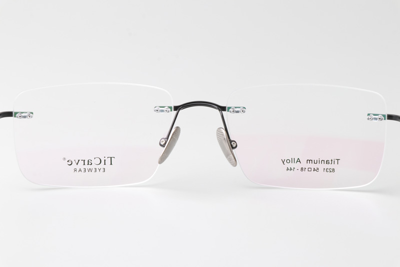 TC8231 Eyeglasses Black