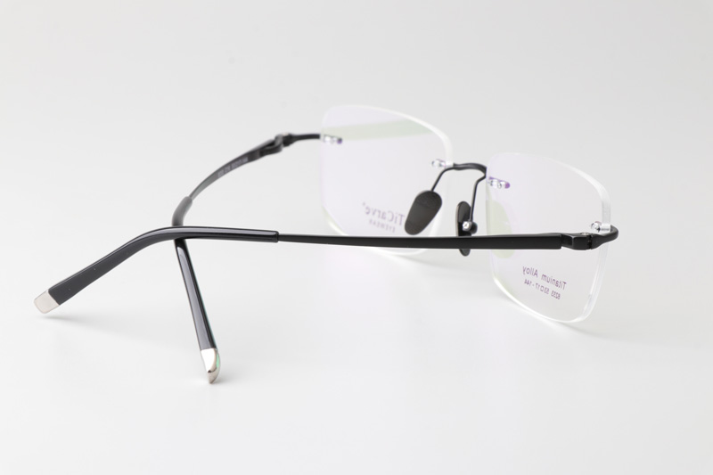 TC8233 Eyeglasses Black