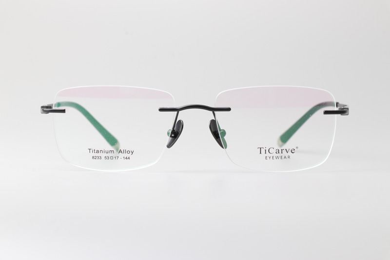 TC8233 Eyeglasses Black