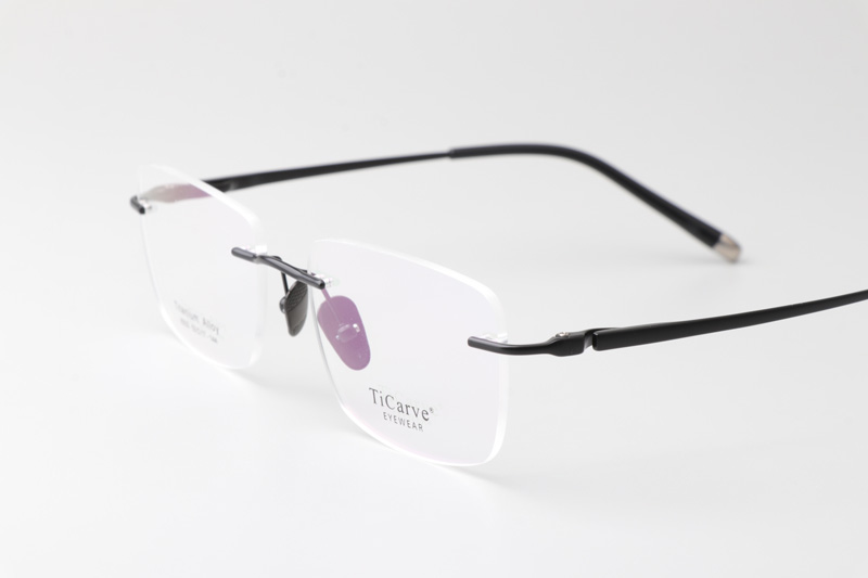 TC8233 Eyeglasses Black