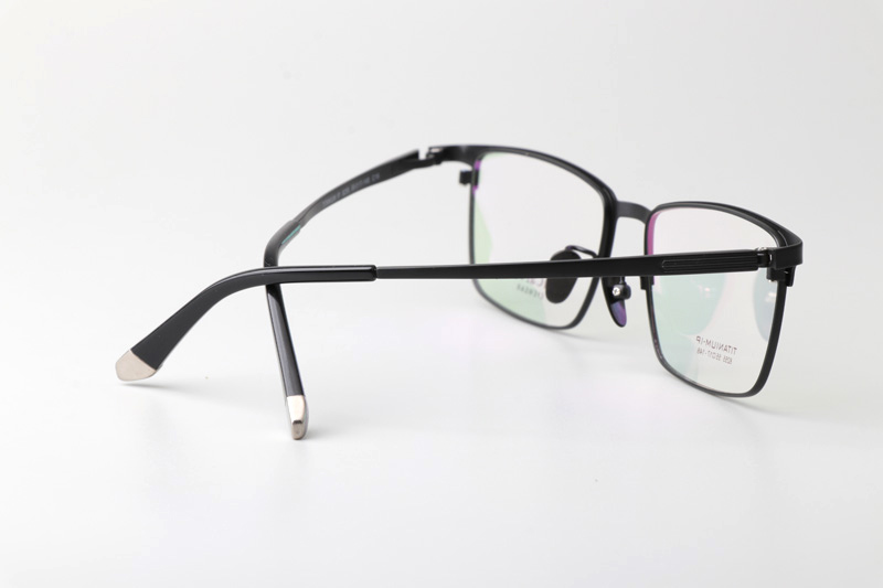 TC8255 Eyeglasses Black