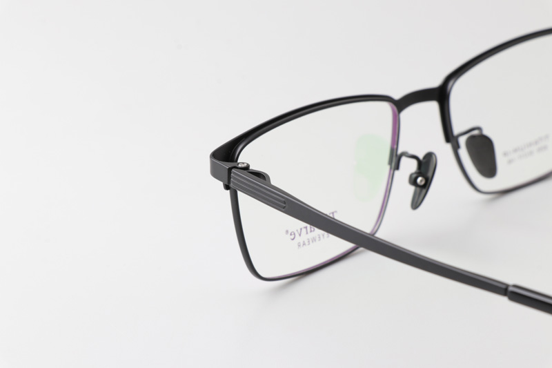 TC8255 Eyeglasses Black