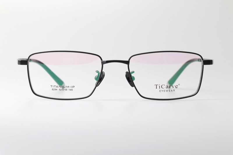 TC8294 Eyeglasses Black