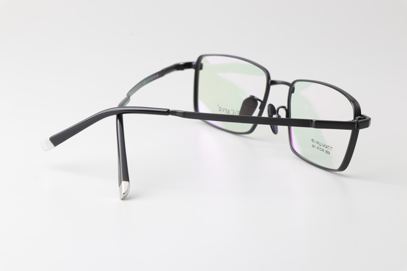 TC8295 Eyeglasses Black