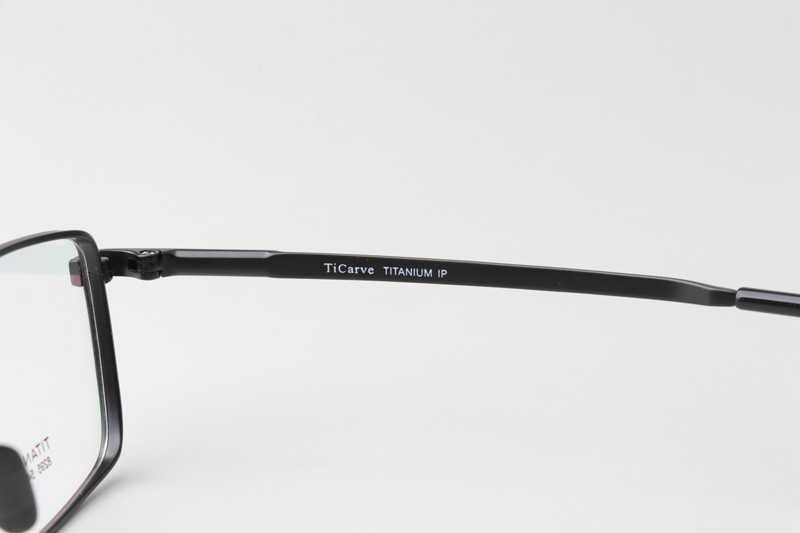 TC8295 Eyeglasses Black