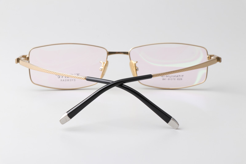 TC8329 Eyeglasses Gold