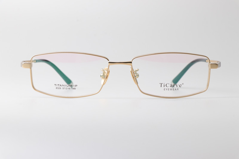 TC8329 Eyeglasses Gold