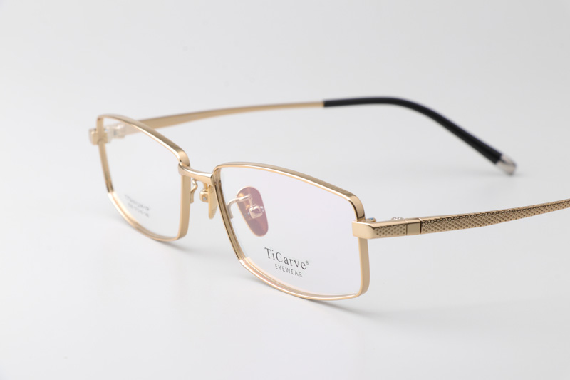 TC8329 Eyeglasses Gold