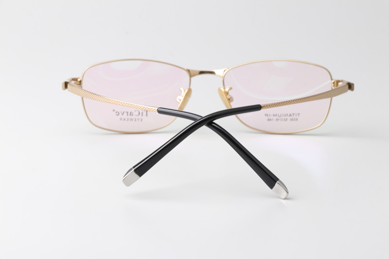 TC8330 Eyeglasses Gold