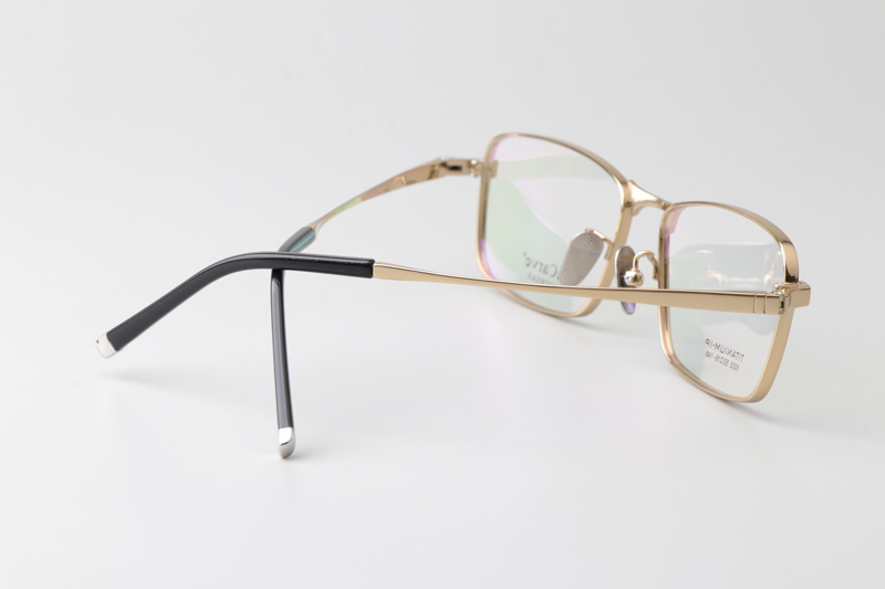 TC8333 Eyeglasses Gold